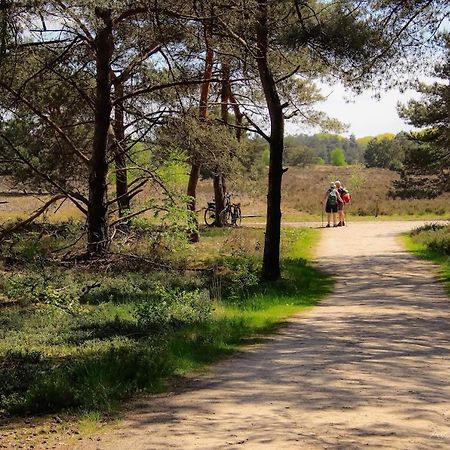 Luxe Woodlodge In Een Prachtige En Bosrijke Omgeving Bornerbroek Buitenkant foto