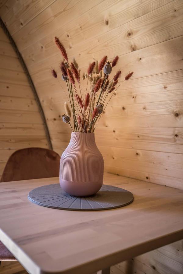 Luxe Woodlodge In Een Prachtige En Bosrijke Omgeving Bornerbroek Buitenkant foto