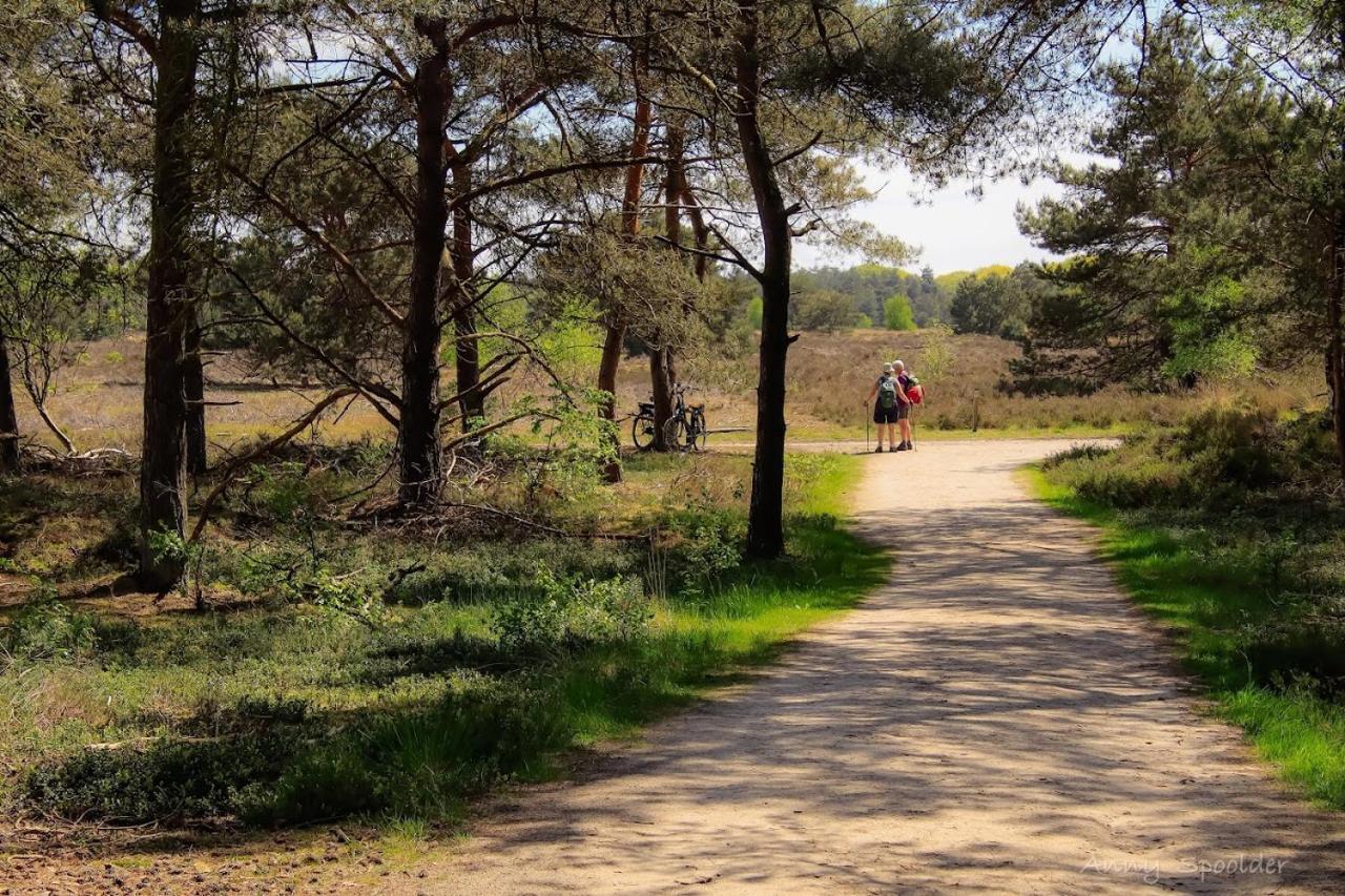 Luxe Woodlodge In Een Prachtige En Bosrijke Omgeving Bornerbroek Buitenkant foto